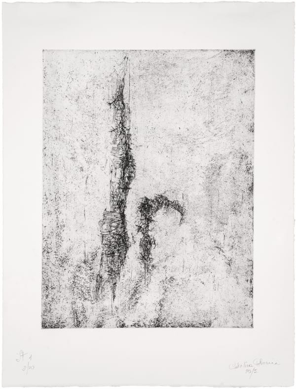 Catalina Chervin IT 1, 2015 Hard and soft ground etching, printed on Somerset Textured White paper Master Printer: Lothar Osterburg, New York, 2015 Image size: 15 x 11 in (38.1 x 27.9 cm) Sheet size: 21 x 16 in (53.3 x 40.6 cm) Edition of 20