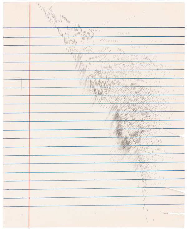 Priscilla Monge, Healing Notes , 2022