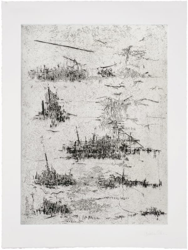 Catalina Chervin Song 3, 2010 Hard ground and soft ground etching with dry point, printed on Rives De Lin with Kozo chine collé Master printer: Lothar Osterburg, New York, 2010 Image size: 15 x 11 in (38.1 x 27.9 cm) Sheet size: 21 x 16 in (53.3 x 40.6 cm) Edition of 20