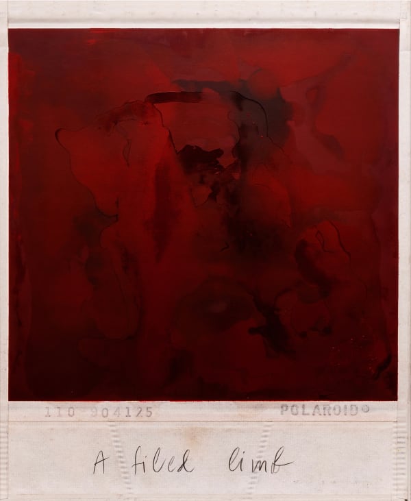 Priscilla Monge The Archived Body Series: A Filed Limb, 2022/23 Digital print on 100% cotton archival paper and oil paint 33 7/8 x 28 in 86 x 71 cm