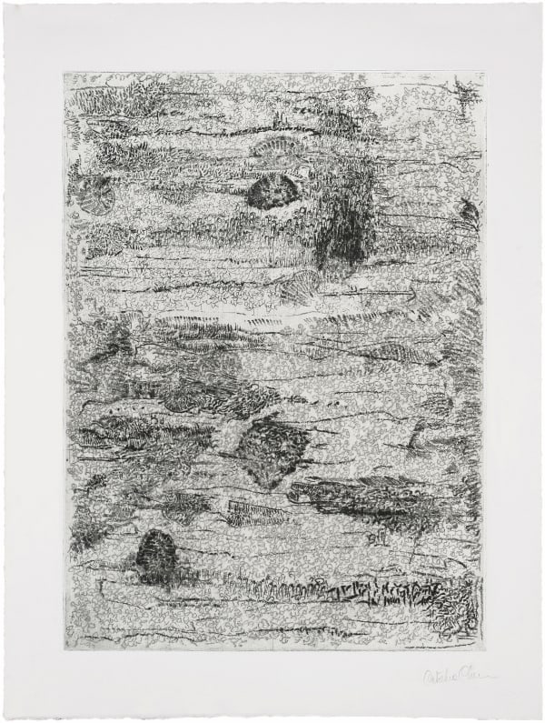 Catalina Chervin Song 4, 2010 Hard and soft ground etching, printed on Rives De Lin with Kozo chine collé Master Printer: Lothar Osterburg, New York, 2010 Image size: 15 x 11 in (38.1 x 27.9 cm) Sheet size: 21 x 16 in (53.3 x 40.6 cm) Artist proof edition of 3