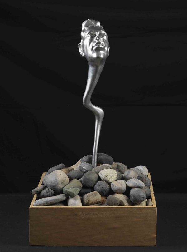 Espíritu, 1994