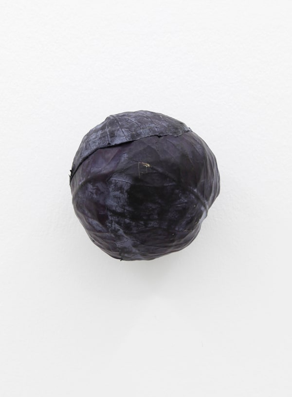 KARIN SANDER, Red cabbage (Kitchen Pieces), 2011 / 2016