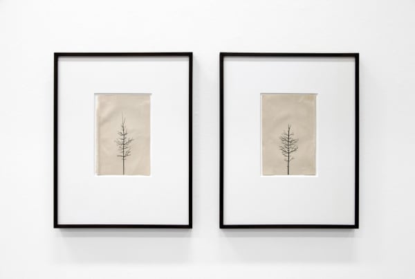 PETER LIVERSIDGE, Winter Drawing (Summer Version), 12 vs. 13 Winter Drawing (Summer Version), 13 vs. 13, 2011