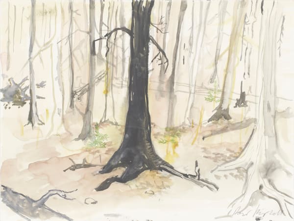 RAGNAR KJARTANSSON, Af lendum heimshryggðarinnar í Bresku Kólumbíu / From the Valley of World-Weariness in British Columbia (VIII), 2011