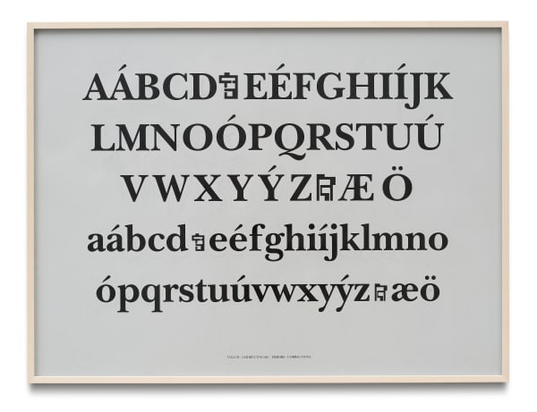 Villur-leiðréttingar / Errors-Corrections