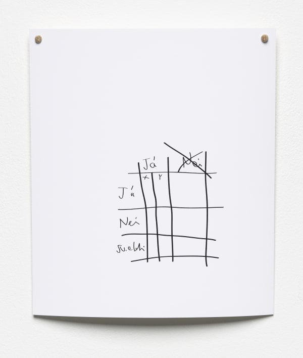HILDIGUNNUR BIRGISDÓTTIR, Inescapable Biases , 2017