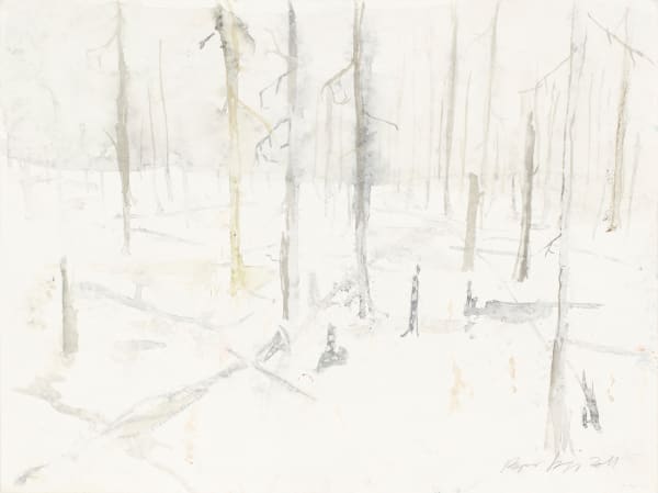 RAGNAR KJARTANSSON, Af lendum heimshryggðarinnar í Bresku Kólumbíu / From the Valley of World-Weariness in British Columbia (I), 2011