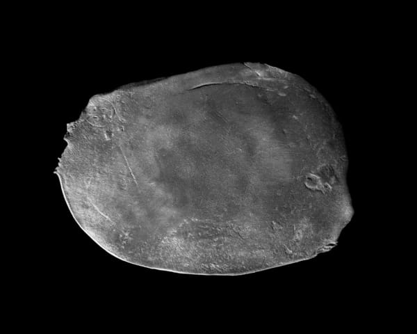 Erin Shirreff, Untitled (Series 1), 2009