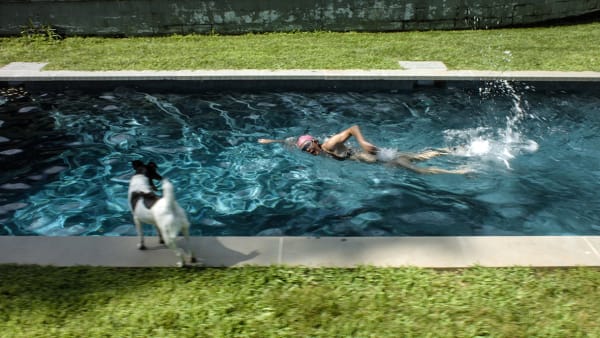 Scenes From Western Culture, The Pool (Elizabeth Peyton)