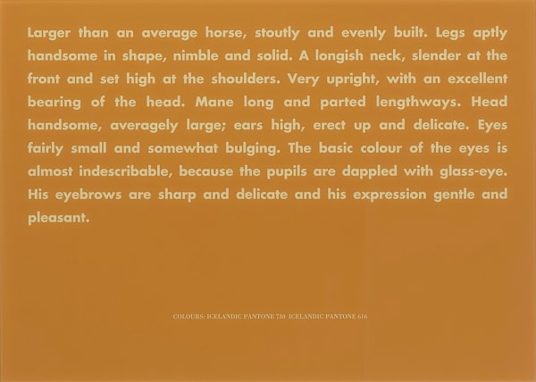 Horse Portrait (larger than an average....)