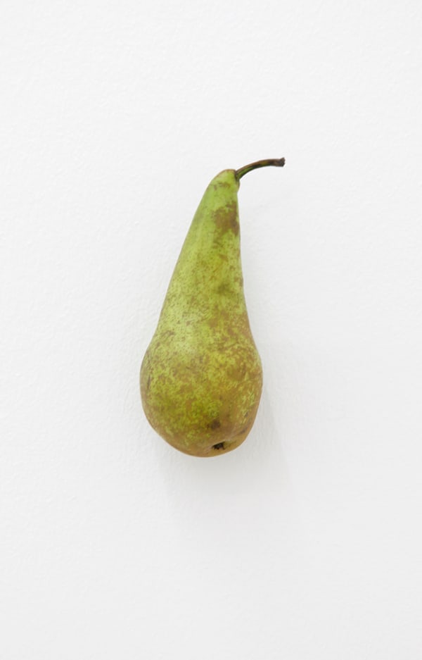 KARIN SANDER, Pear (Kitchen Pieces), 2011 / 2016