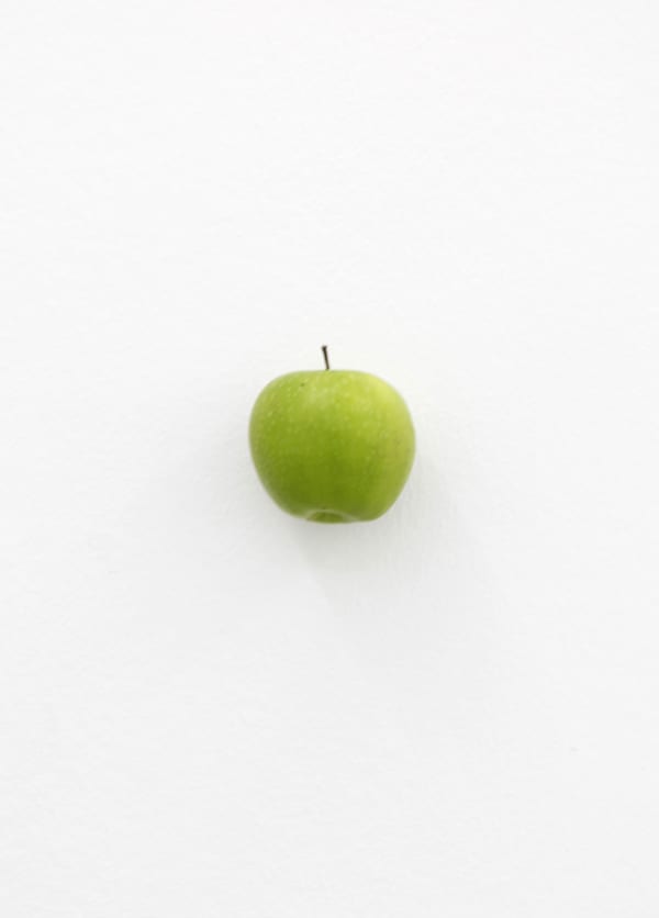 KARIN SANDER, Apple (Kitchen Pieces), 2011 / 2016
