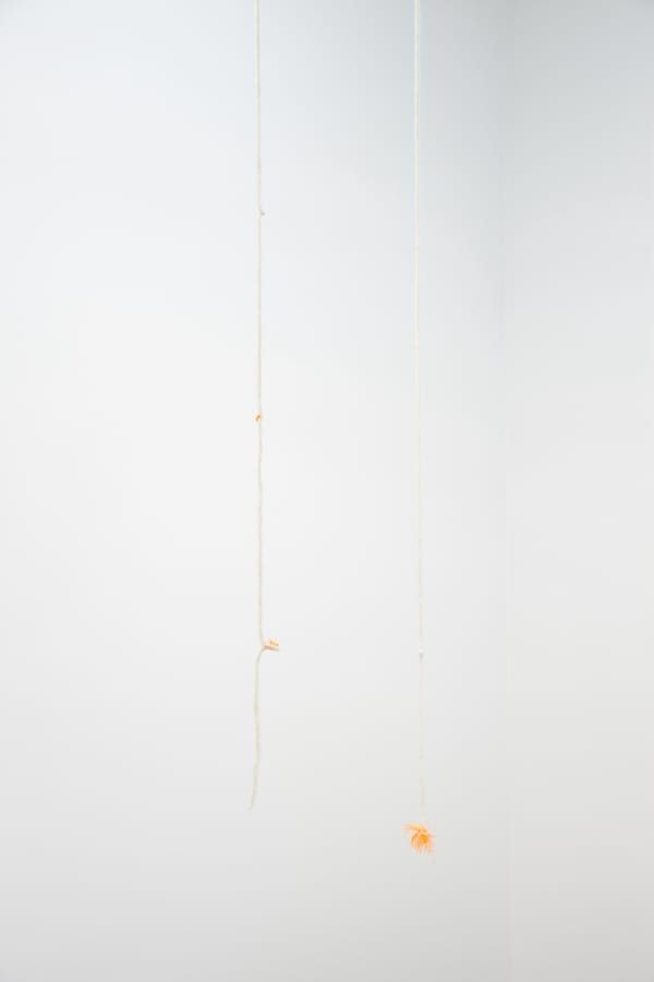 MARGRÉT H. BLÖNDAL, Untitled, 2019