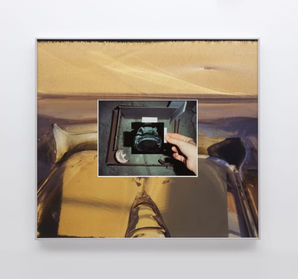 B. INGRID OLSON, Equant and Run, with cartilage, 2017-2020