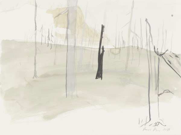 RAGNAR KJARTANSSON, Af lendum heimshryggðarinnar í Bresku Kólumbíu / From the Valley of World-Weariness in British Columbia (VII), 2011