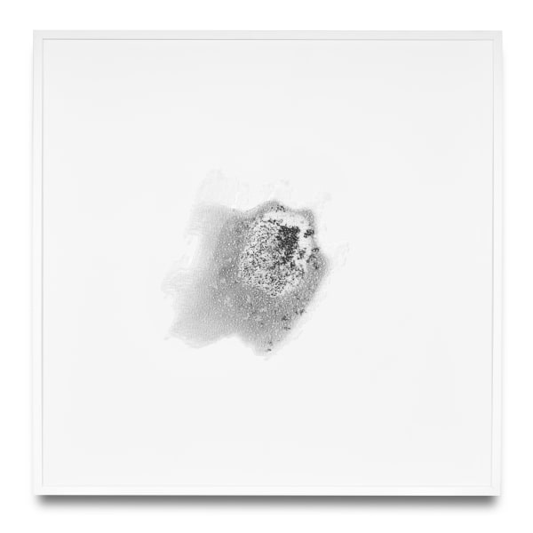 Saltscape, 23. November 2017