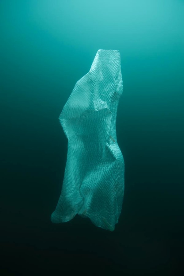 HRAFNKELL SIGURÐSSON, Revelation I, 2014