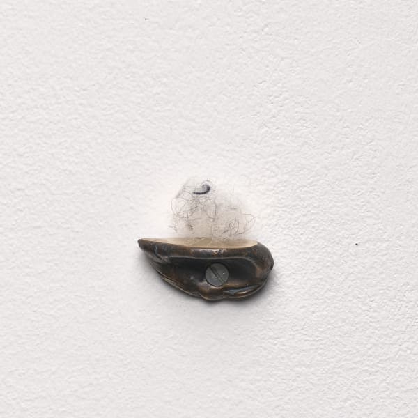 HILDIGUNNUR BIRGISDÓTTIR, Shelf for Something, 2017
