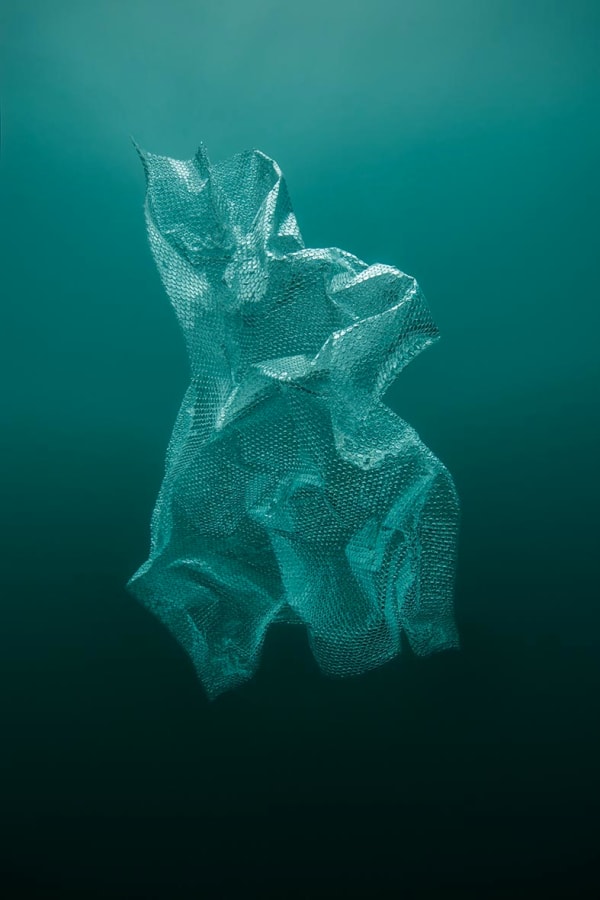 HRAFNKELL SIGURÐSSON, Revelation VI, 2014