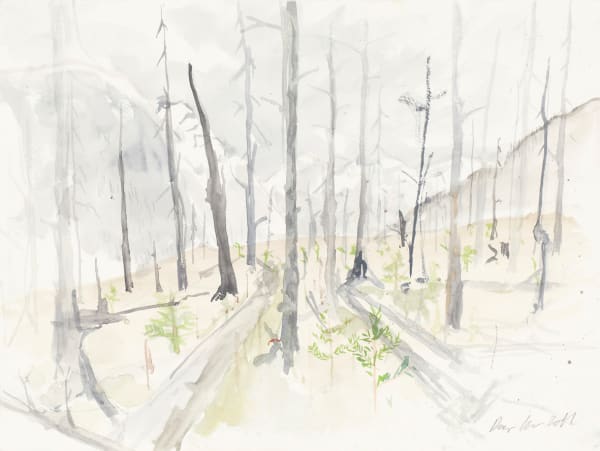 RAGNAR KJARTANSSON, Af lendum heimshryggðarinnar í Bresku Kólumbíu / From the Valley of World-Weariness in British Columbia (X), 2011