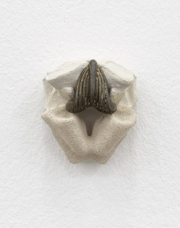 Architect's Mouth