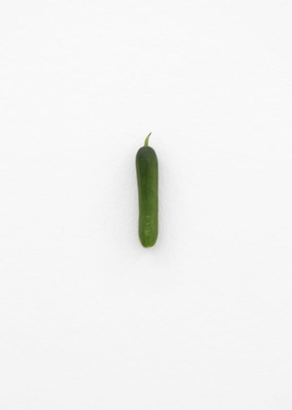 KARIN SANDER, Mini cucumber (Kitchen Pieces), 2011 / 2016