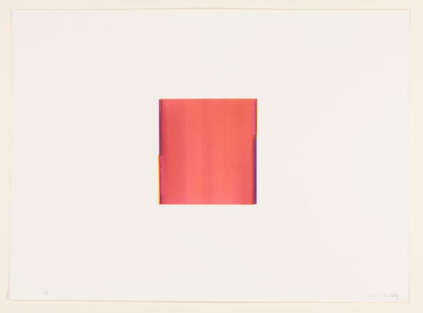 CALLUM INNES, Red Violet / Lemon Yellow (no. 37.), 2013