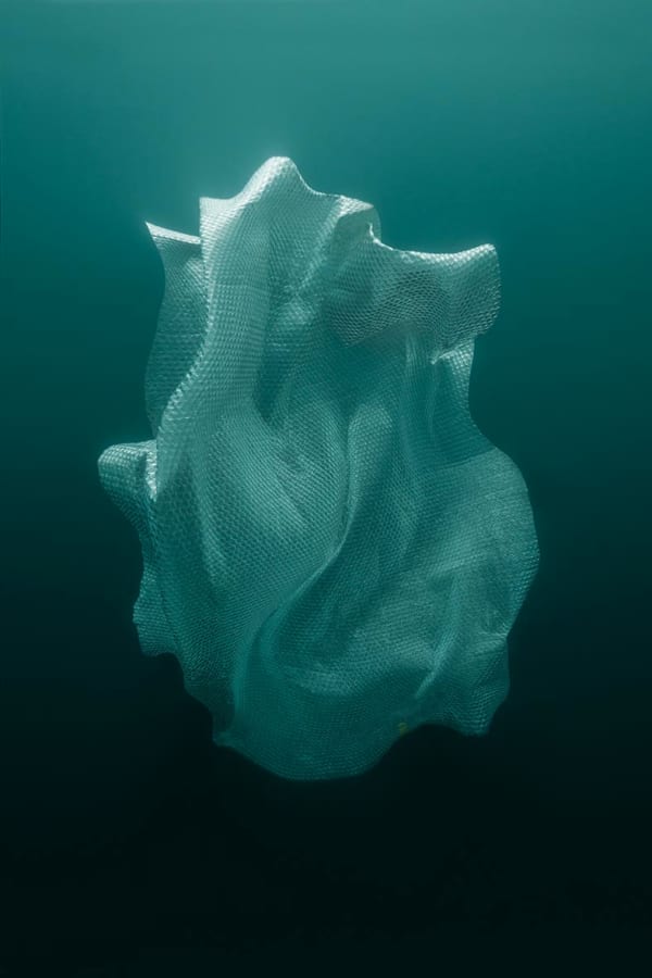 HRAFNKELL SIGURÐSSON, Revelation VIII, 2014