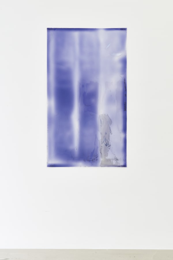 Carrie Yamaoka, Peeled, 2001/2021