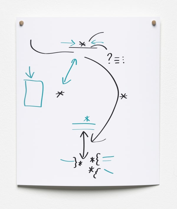 HILDIGUNNUR BIRGISDÓTTIR, Inescapable Biases , 2017