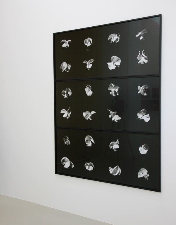 ELÍN HANSDÓTTIR, Fraction, 2010