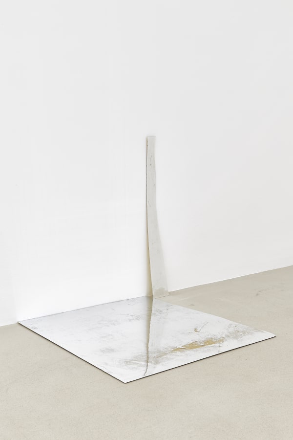 Carrie Yamaoka, 24 by 24 redux, 2001/2021