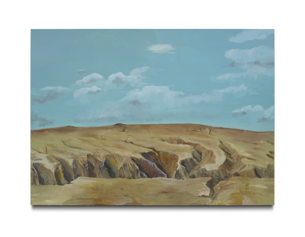 Weekdays in Arcadia (Páll Haukur inspecting the gullies in Álftavatnakrókar)