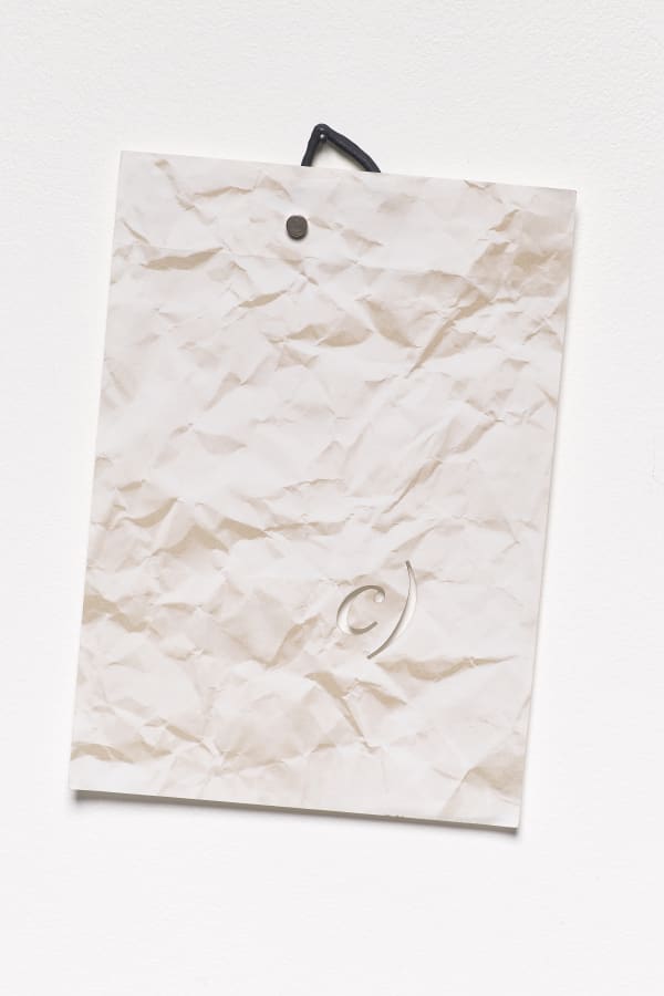 HILDIGUNNUR BIRGISDÓTTIR, Category (c1), 2017