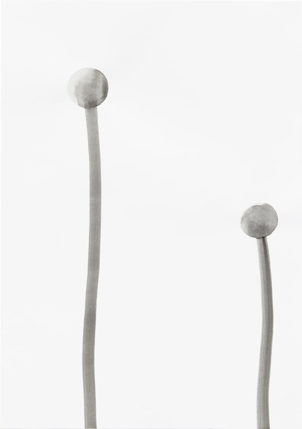 Silvia Bächli, Untitled, 2003