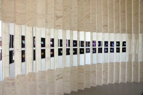ELÍN HANSDÓTTIR, Leporello Wall, 2010