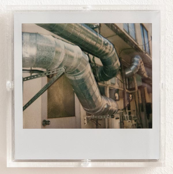 Daido Moriyama, Bye bye Polaroid, 2008