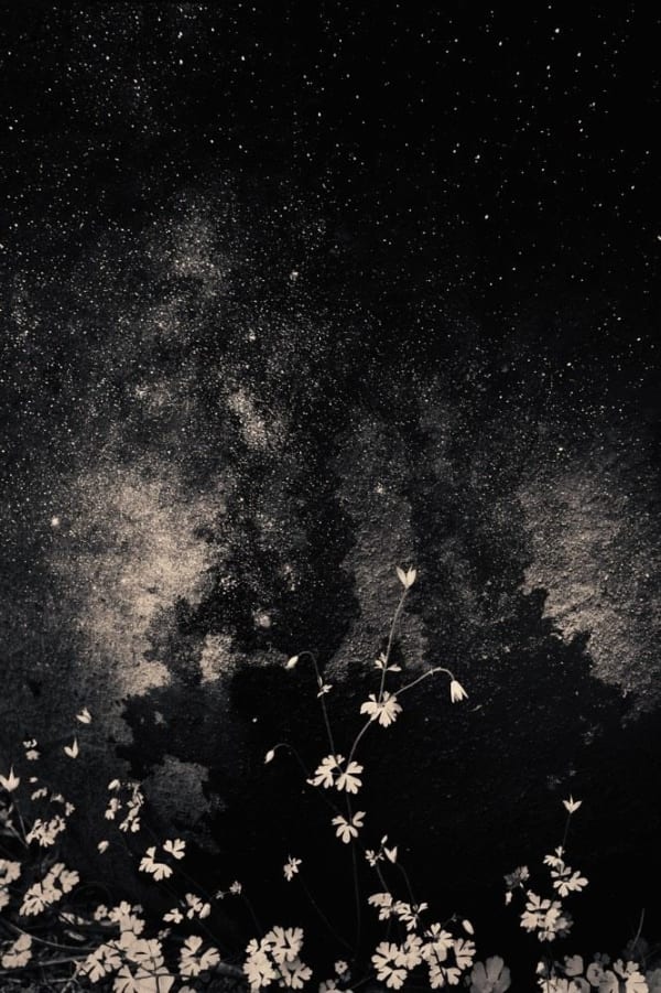 Albarrán Cabrera, The Mouth of Krishna #367, 2015