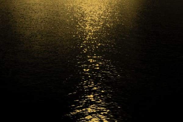 Paul Cupido, Daydreams, 2021