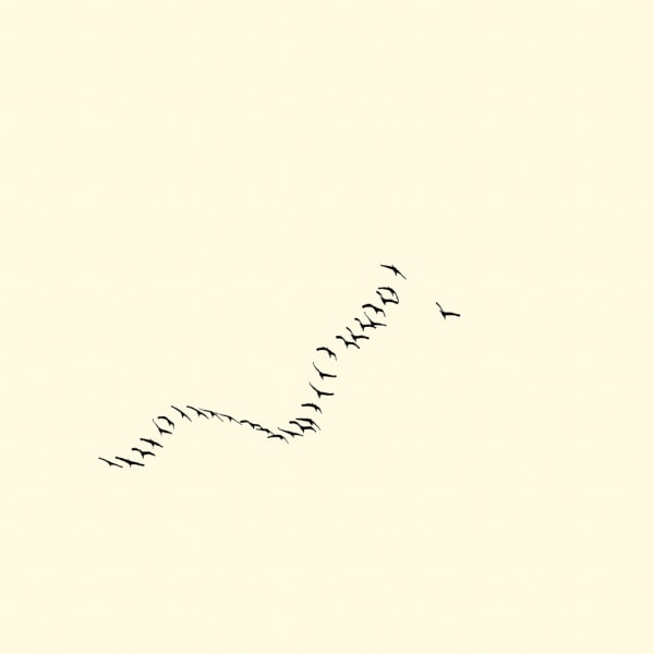 François Laxalt, Vingt Neuf / Twenty nine, 2010