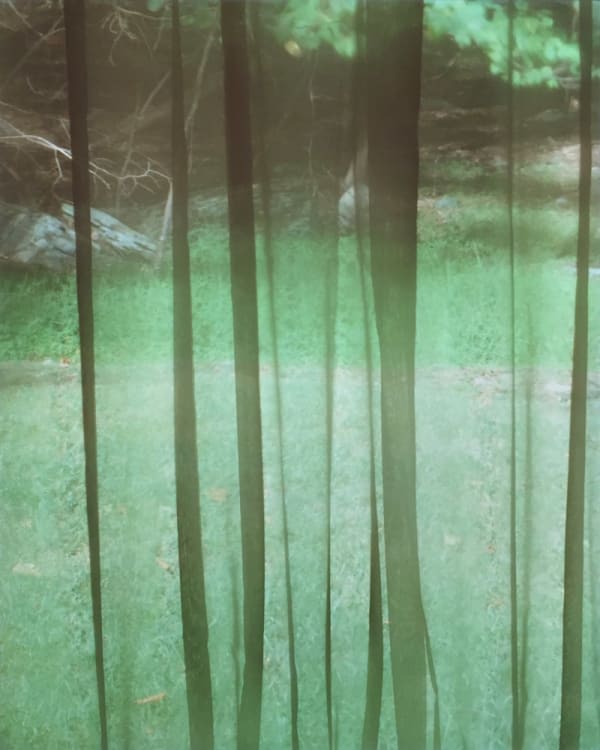 Motohiro Takeda, Untitled from Blink/Matataki, 2015