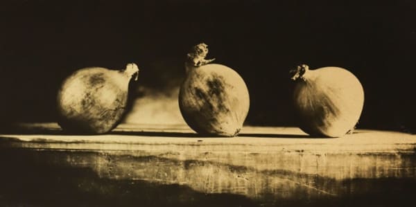 Naohiro Ninomiya, Glanage-25, 2019