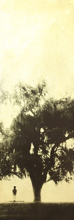 Naohiro Ninomiya, Glanage-26, 2019