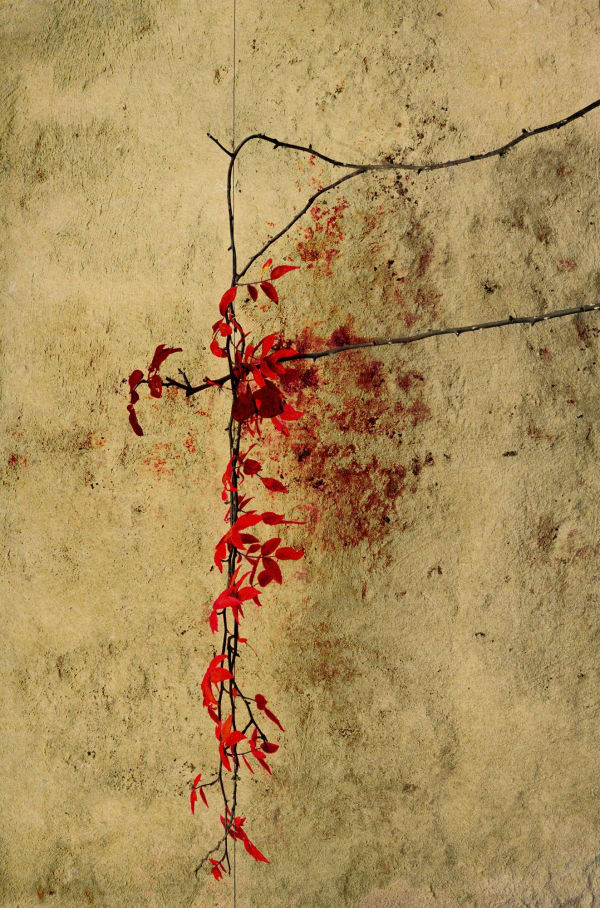 Albarrán Cabrera, The Mouth of Krishna #252, 2013