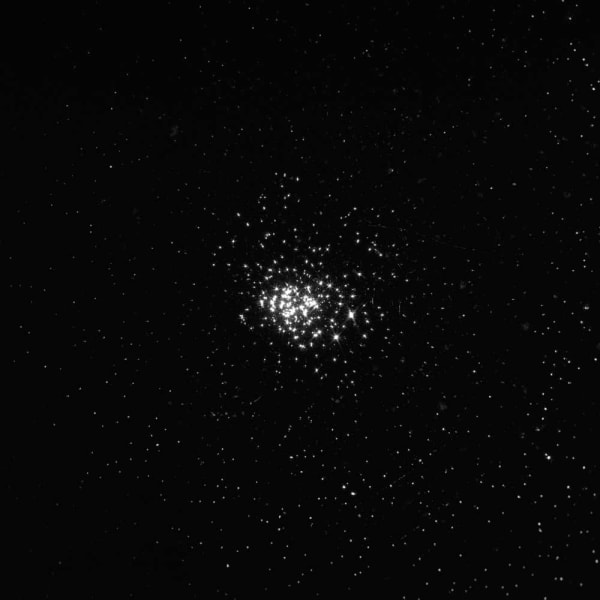 Keiichi Ito, Mshiko Kuro, 2017