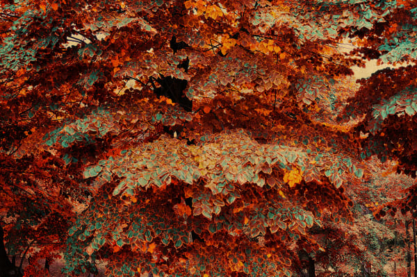 Albarrán Cabrera, The Mouth of Krishna #742, 2018/2023