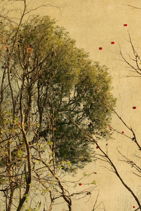 Albarrán Cabrera, The Mouth of Krishna #1048, 2022/2025