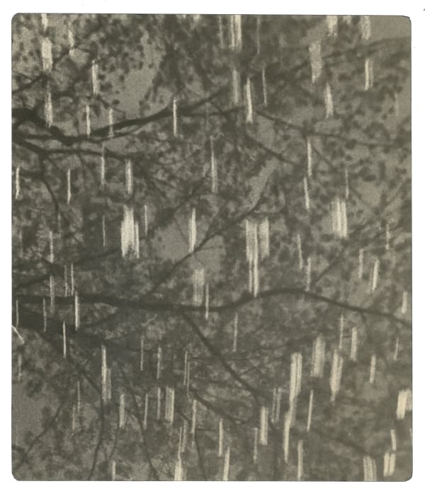 Miho Kajioka, BK0621, 2020