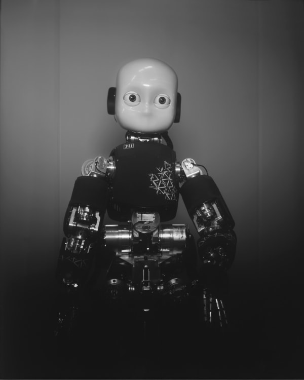 Wanda Tuerlinckx, iCub, Asada Research Group, Osaka, Japan, 2017